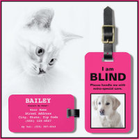 [About My Dog] Blind Deaf Cat Dog Crate