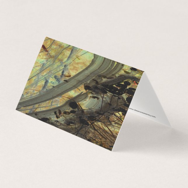 "Above a Beaver Dam II" Abstractly Enhanced Pond (Front)