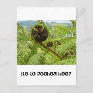 Above the Canopy: Kiwiana Postcard
