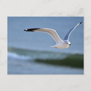 Above the waves postcard