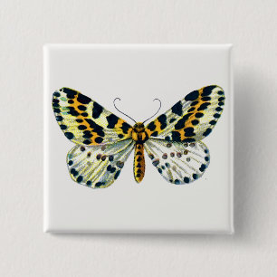 Abraxas grossulariata, The Magpie Moth Colour Imag 2 Inch Square Button