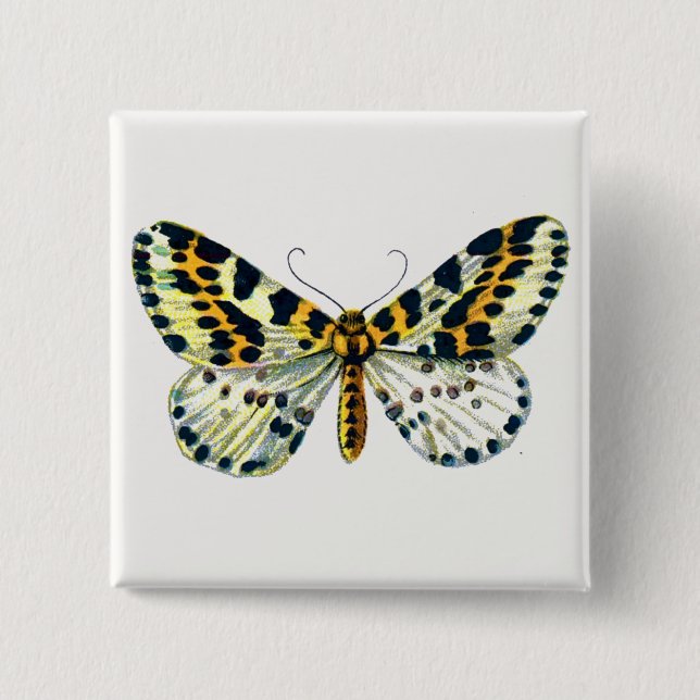 Abraxas grossulariata, The Magpie Moth Colour Imag 2 Inch Square Button (Front)