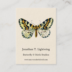 Abraxas grossulariata, The Magpie Moth Colour Imag Business Card