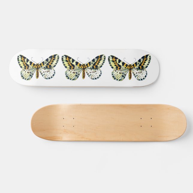Abraxas grossulariata, The Magpie Moth Colour Imag Skateboard (Horz)
