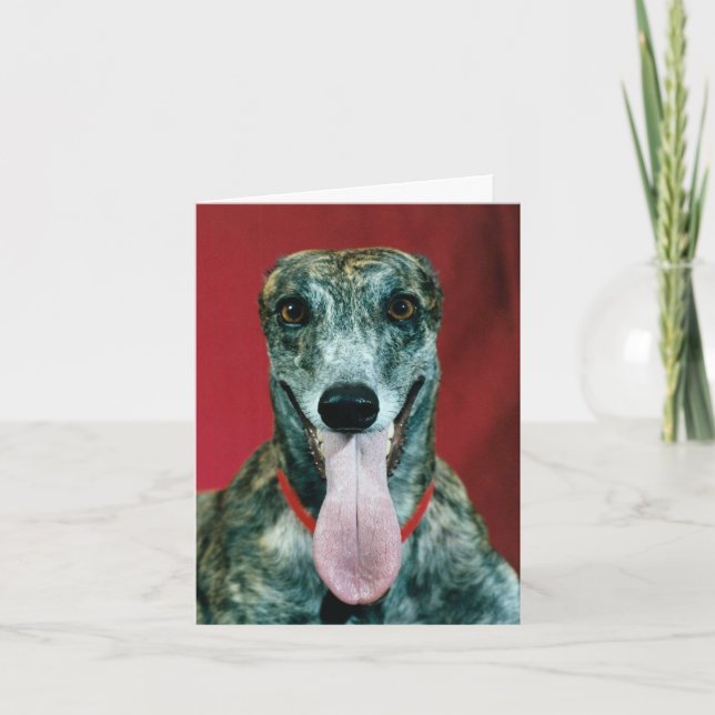 Abri de la carte de délivrance de chien de lévrier (Devant)