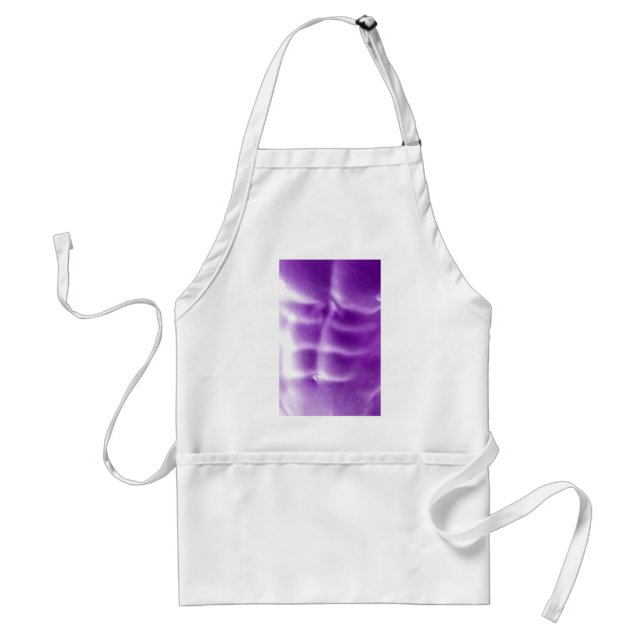 Abs Standard Apron (Front)
