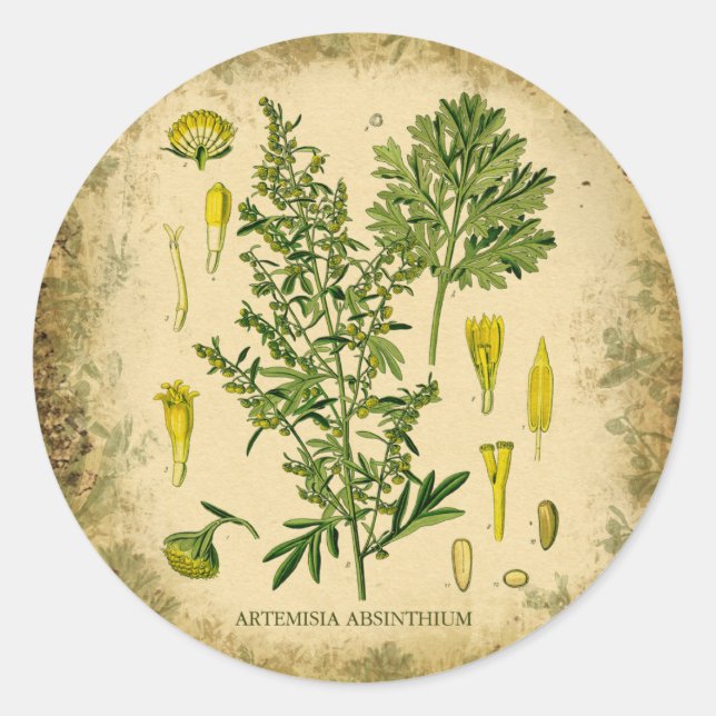 Absinthe Botanical Collage Classic Round Sticker (Front)