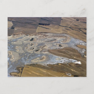 abstract animal postcard