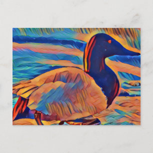 Abstract Art Canvasback Duck Postcard