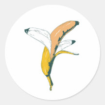 Abstract Artistic Banana Design Pop Art 