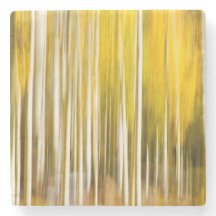 Abstract Aspens