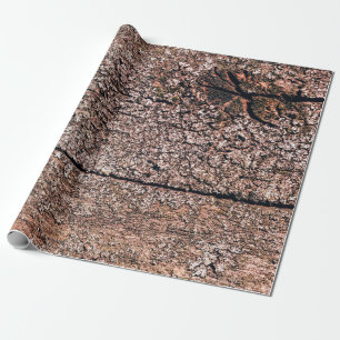 abstract background from old wood texture closeupa wrapping paper