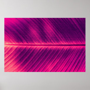 abstract background, palm leaf vein, toned proce poster
