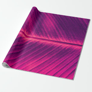 abstract background,  palm leaf vein,  toned proce wrapping paper
