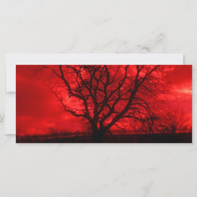 Abstract Bald Tree (Front)