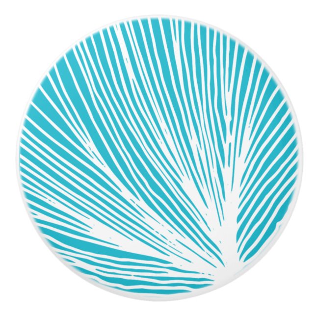 Abstract Beach Scallop Seashell Ceramic Knob (Front)