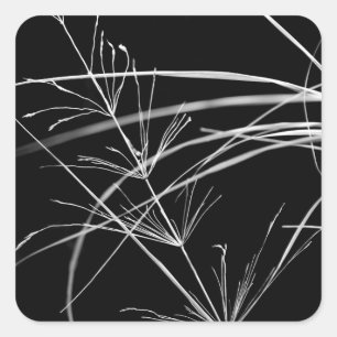 Abstract Black and White Nature Stickers