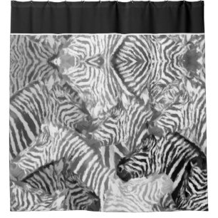 Abstract Black and White Zebra Art