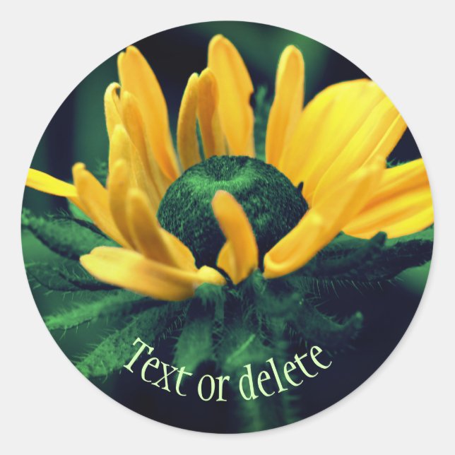 Abstract Black Eyed Susan Flower Personalized Classic Round Sticker (Front)