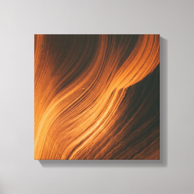Abstract brown hair background canvas print (Front)