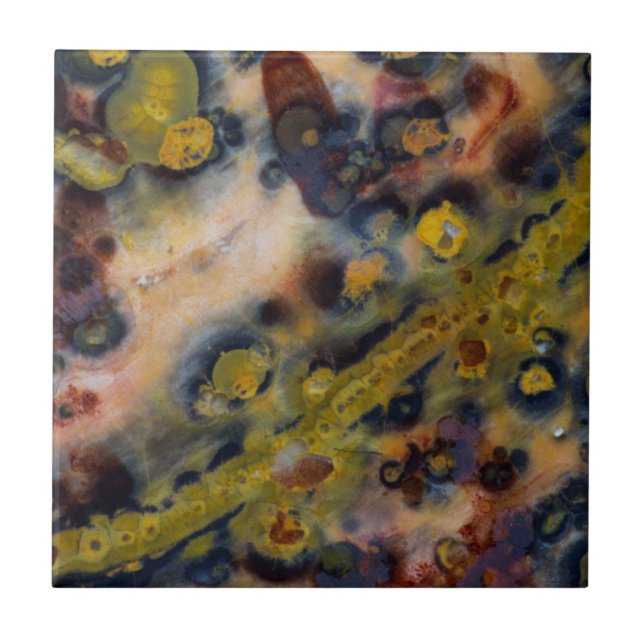Abstract close up of Ocean Jasper Tile (Front)