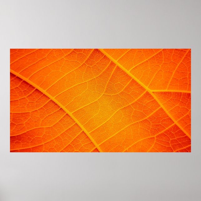 Abstract closeup of an orange and yellow leaf text poster (Front)
