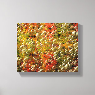 Abstract Colourful Bubbles Pattern Canvas Print