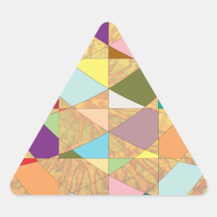 Abstract Colours Sun Burst Triangle Sticker
