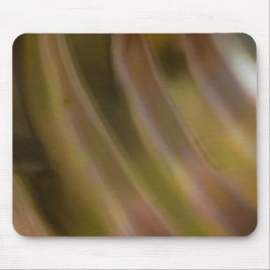 Abstract Curve Mouse Pad