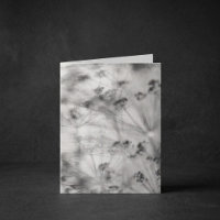 Abstract floral silhouettes, monochrome, Sympathy