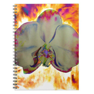 Abstract floral tropical orchid painting notebook