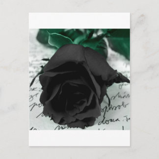 Abstract Flower Black Rose Postcard