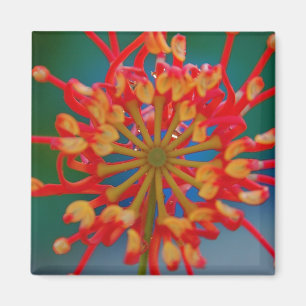 Abstract Flower Magnet
