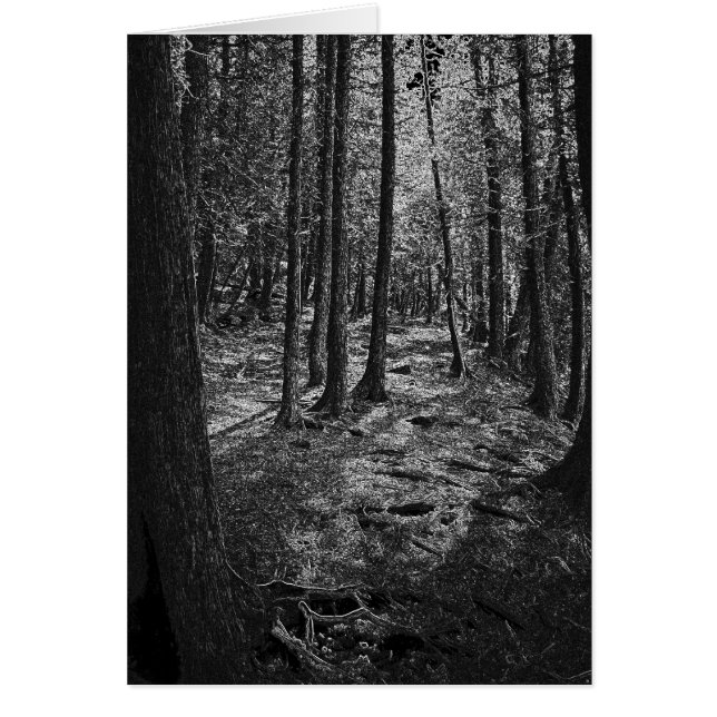 Abstract Forest (Front)