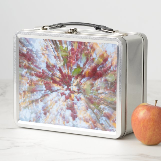 Abstract Fruit Tree Metal Lunch Box (In Situ)