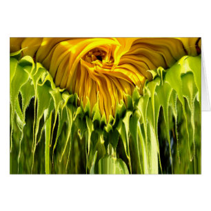 Abstract funky retro Sunflower, scared geometry 