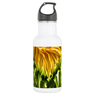 Abstract funky retro Sunflower, scared geometry  532 Ml Water Bottle