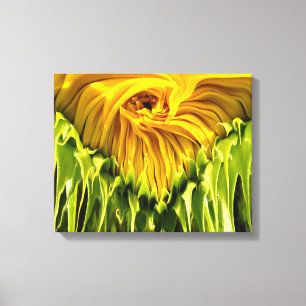 Abstract funky retro Sunflower, scared geometry  Canvas Print