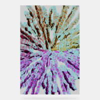 Abstract Geometric Pattern Poster 