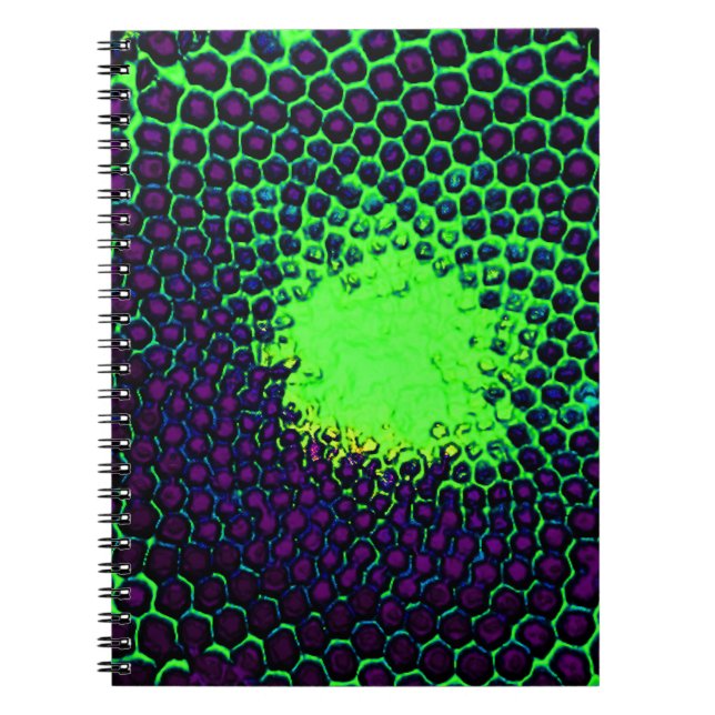 Abstract Honeycomb Design green and purple Notebook (Front)