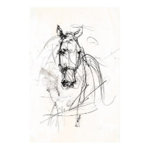 Abstract Horse Portrait Sketch - Premium 