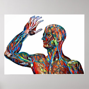 abstract human anatomy man veins arteries art poster