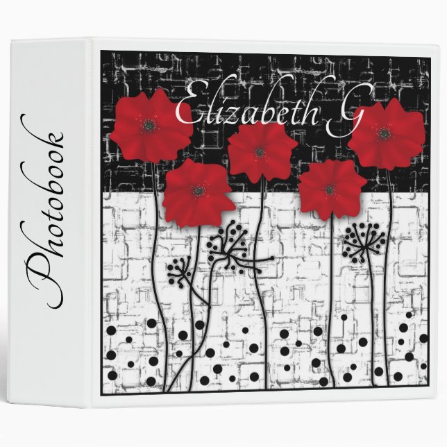 Abstract illustration, binder (Front/Spine)