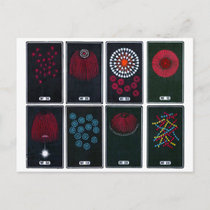 Abstract, Japanese Fireworks Graphic Designs Postcard