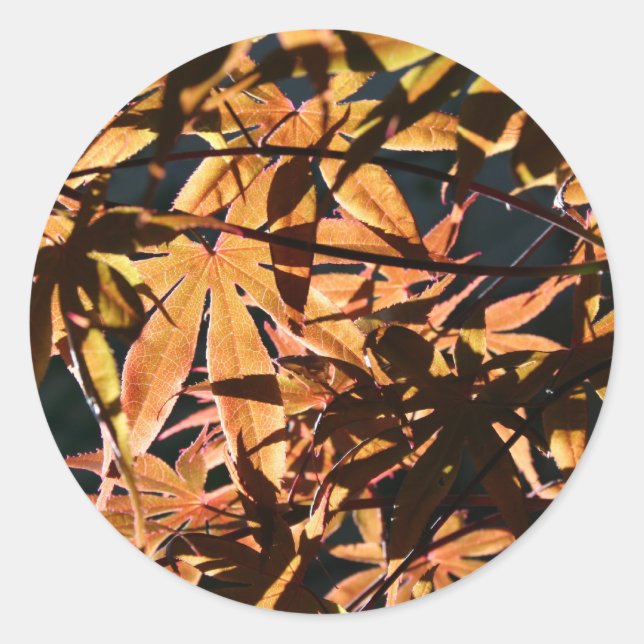 Abstract & japanese Maple Classic Round Sticker (Front)