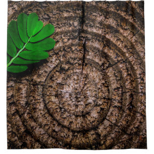 Abstract leaf tree stump green