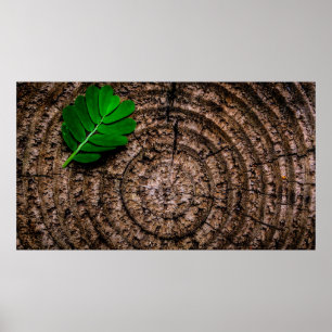Abstract leaf tree stump green poster