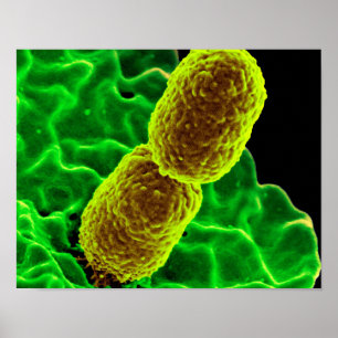 abstract microbiology art custom poster canvas