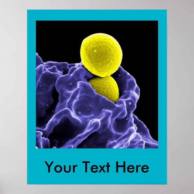 abstract microbiology art custom poster canvas (Front)