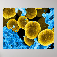 abstract microbiology art custom poster canvas